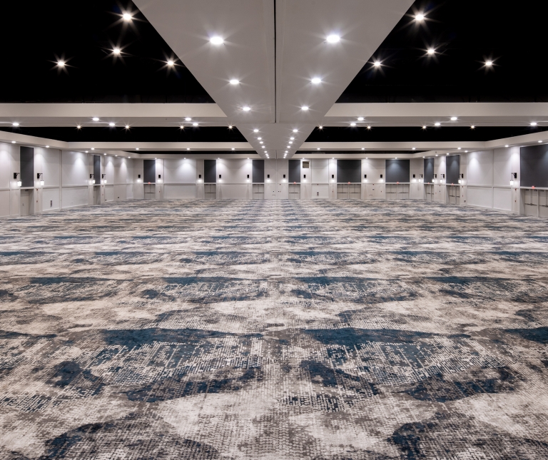 A room with a carpeted floor